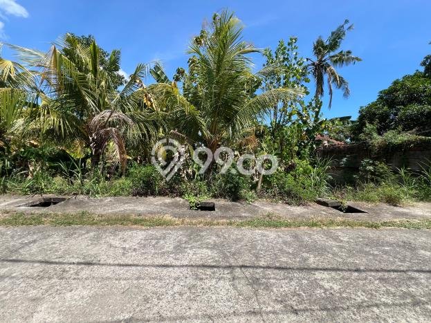 Kavling Tanah untuk Dijual di Lovina, Buleleng, Luas 400m2 Kavling Tanah untuk Dijual di Lovina, Buleleng, Luas 400m2