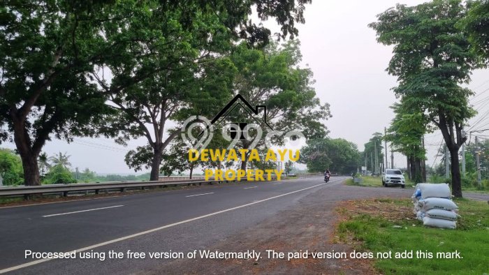 Tanah Kavling Dijual di Lebih, Gianyar dengan Luas Tanah 1875m2 Tanah Kavling Dijual di Lebih, Gianyar dengan Luas Tanah 1875m2