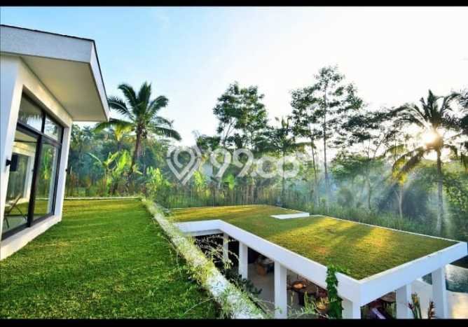 PELUANG INVESTASI! Vila Kawasan , Luas 2500m2m², Hasil Tinggi PELUANG INVESTASI! Vila Kawasan , Luas 2500m2m², Hasil Tinggi
