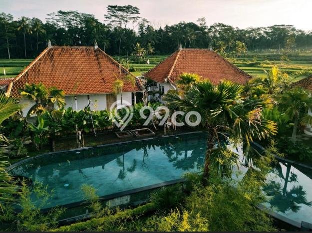 Jual Cepat! Vila di Tampaksiring, Dimensi 1600m2m², Kawasan Prospektif dengan potensi naik Jual Cepat! Vila di Tampaksiring, Dimensi 1600m2m², Kawasan Prospektif dengan potensi naik