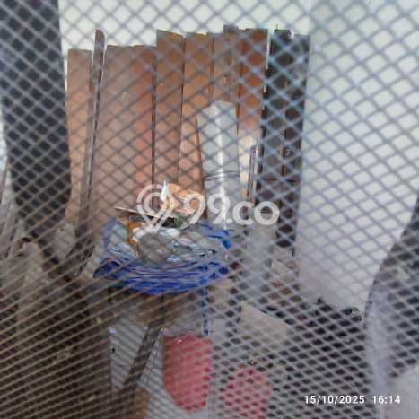 Best Deal Hunian Mewah Ideal dan Luas di Cengkareng, Jakarta Barat Best Deal Hunian Mewah Ideal dan Luas di Cengkareng, Jakarta Barat