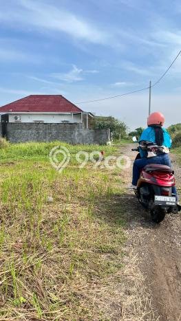 Dijual Tanah Lokasi Sendangmulyo, Semarang Seluas 200m2 Dijual Tanah Lokasi Sendangmulyo, Semarang Seluas 200m2