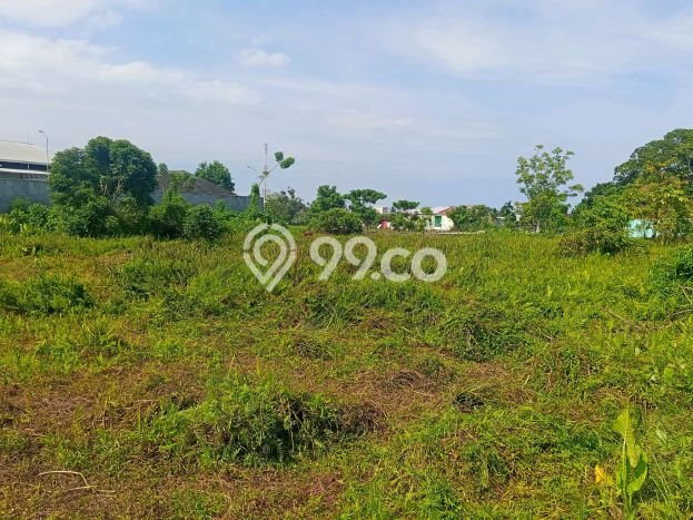 Kavling Tanah Dijual di Wara Selatan, Palopo, Luas 5610m2 Area Strategis Kavling Tanah Dijual di Wara Selatan, Palopo, Luas 5610m2 Area Strategis