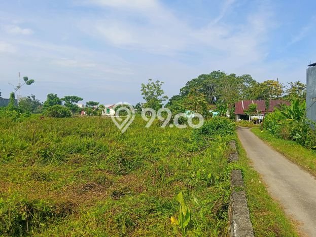 Kavling Tanah Dijual di Wara Selatan, Palopo, Luas 5610m2 Area Strategis Kavling Tanah Dijual di Wara Selatan, Palopo, Luas 5610m2 Area Strategis