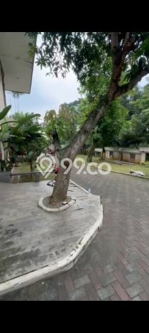 Disewakan Segera Rumah Kondisi Bagus di Area Semarang Tengah, Semarang Disewakan Segera Rumah Kondisi Bagus di Area Semarang Tengah, Semarang