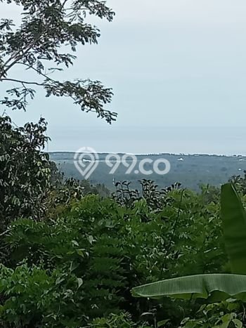 Dijual Tanah di Negara Jembrana Luas 10000m2 - Dijual Tanah di Negara Jembrana Luas 10000m2 -
