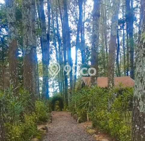 Tanah Area Prospektif Kawasan Lembang, Luas 5600m², Dekat ke Pusat Kota, Lingkungan Nyaman Tanah Area Prospektif Kawasan Lembang, Luas 5600m², Dekat ke Pusat Kota, Lingkungan Nyaman