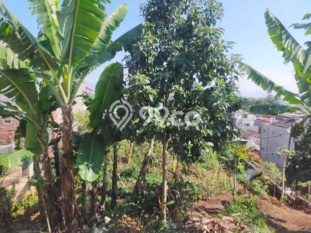 Dijual Rumah Minimalis Bagus Punya 3 KT di Cileunyi Bandung SHM Dijual Rumah Minimalis Bagus Punya 3 KT di Cileunyi Bandung SHM