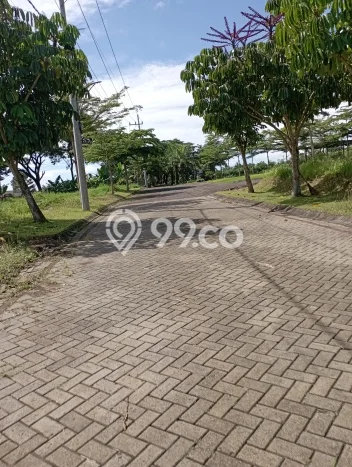 Jarang Ada! Tanah di Dau Punya Luas 80m2 SHM Jarang Ada! Tanah di Dau Punya Luas 80m2 SHM