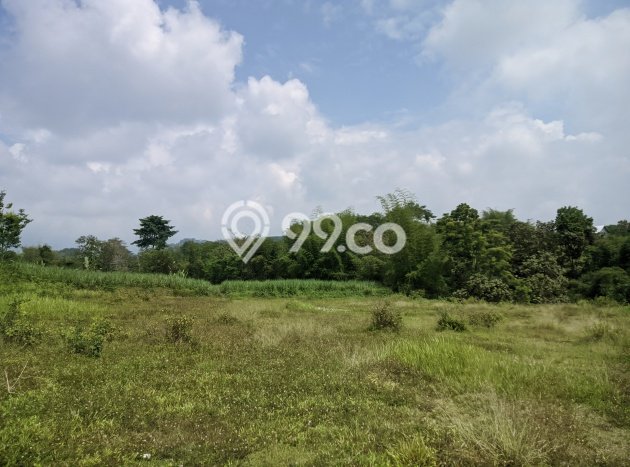 Tanah Dijual Area Strategis di Malang Kota Malang 72m2 Tanah Dijual Area Strategis di Malang Kota Malang 72m2
