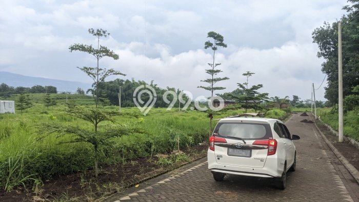 Jarang Ada! Tanah di Dau Punya Luas 80m2 SHM Jarang Ada! Tanah di Dau Punya Luas 80m2 SHM