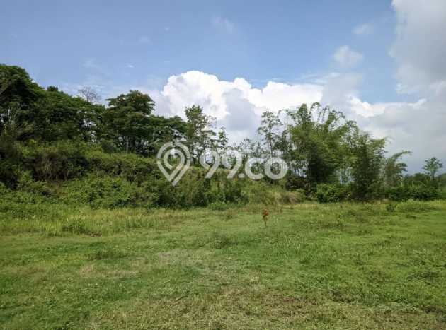 Tanah Kavling Dijual di Malang dengan Spesifikasi 84m2 Tanah Kavling Dijual di Malang dengan Spesifikasi 84m2
