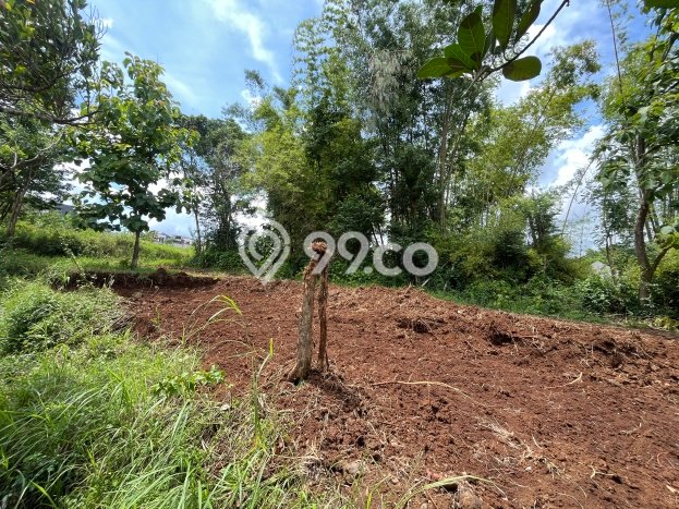 Kost untuk Dijual di Malang Kota Punya 10 Kamar Kost untuk Dijual di Malang Kota Punya 10 Kamar