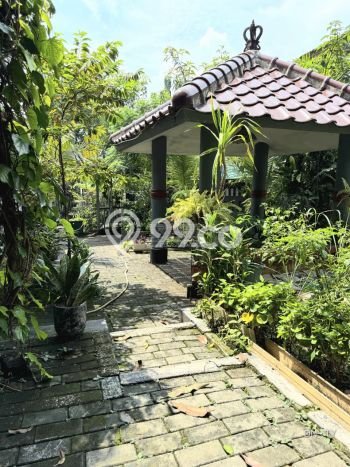 Untuk Dijual Tanah 243m2 di Sektor 2 - Bintaro, Jakarta Selatan Untuk Dijual Tanah 243m2 di Sektor 2 - Bintaro, Jakarta Selatan