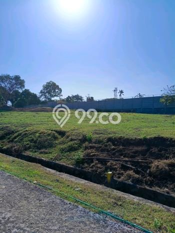 Dijual Tanah 500m2 di Saba, Gianyar Dijual Tanah 500m2 di Saba, Gianyar