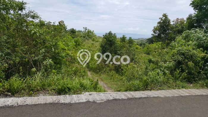 Tanah Kavling Dijual di Nusa Penida, Klungkung dengan Luas Tanah 500m2 Tanah Kavling Dijual di Nusa Penida, Klungkung dengan Luas Tanah 500m2