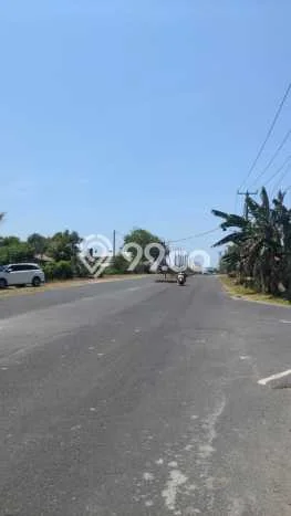 Jarang Ada! Tanah Kavling Disewakan di Badung 930m2 Jarang Ada! Tanah Kavling Disewakan di Badung 930m2