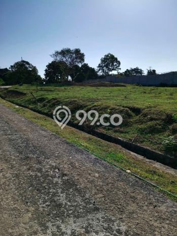 Dijual Tanah 500m2 di Saba, Gianyar Dijual Tanah 500m2 di Saba, Gianyar