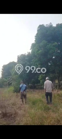 Jual Tanah Kawasan Komersial di Rajeg, Luas 22000m2m², Prospek Tinggi Jual Tanah Kawasan Komersial di Rajeg, Luas 22000m2m², Prospek Tinggi