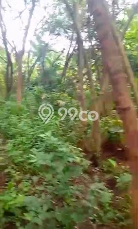 Lahan Kosong Dijual di Tangerang dengan Area 60000m2 Lahan Kosong Dijual di Tangerang dengan Area 60000m2