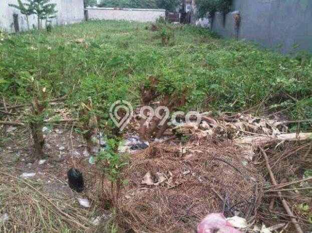 Hunian Mewah Siap Huni LT 2185m2 di Bulak, Surabaya Hunian Mewah Siap Huni LT 2185m2 di Bulak, Surabaya