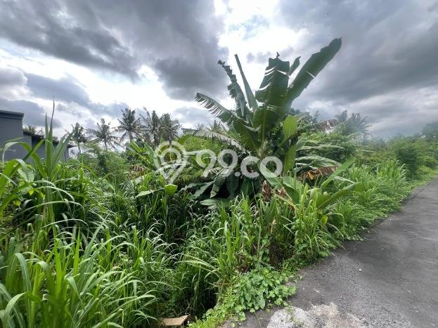 Dijual Tanah Lokasi Singapadu, Gianyar Seluas 710m2 Dijual Tanah Lokasi Singapadu, Gianyar Seluas 710m2