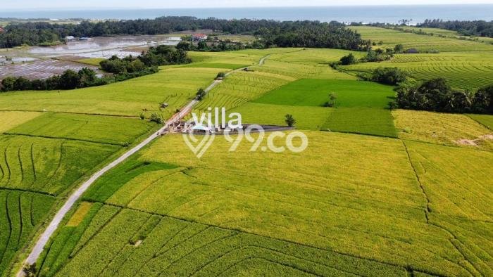 Tanah Dijual Area Strategis di Beraban Tabanan 2330m2 Tanah Dijual Area Strategis di Beraban Tabanan 2330m2