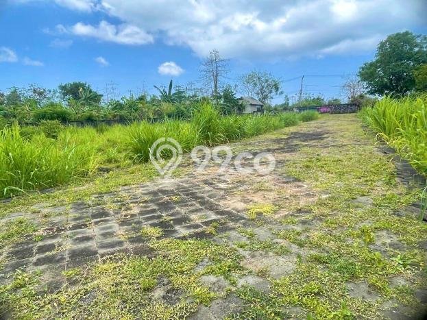 Tanah Dijual di Badung Seluas 550m2 Strategis Tanah Dijual di Badung Seluas 550m2 Strategis