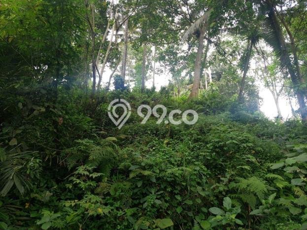 Tanah di Ubud, Gianyar Luas 8000m2 Dijual Segera Tanah di Ubud, Gianyar Luas 8000m2 Dijual Segera