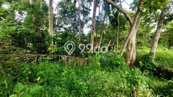 Kavling Tanah untuk Dijual di Kedungu, Tabanan, Luas 3200m2 Kavling Tanah untuk Dijual di Kedungu, Tabanan, Luas 3200m2