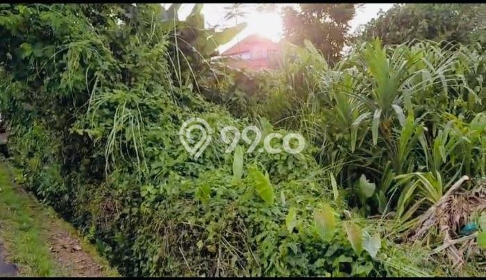 Tanah Investasi Dijual di Badung Punya Luas 1500m2 Tanah Investasi Dijual di Badung Punya Luas 1500m2