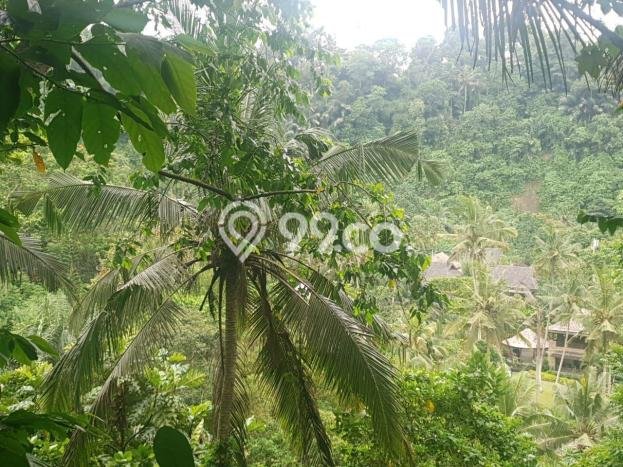Tanah di Ubud, Gianyar Luas 8000m2 Dijual Segera Tanah di Ubud, Gianyar Luas 8000m2 Dijual Segera