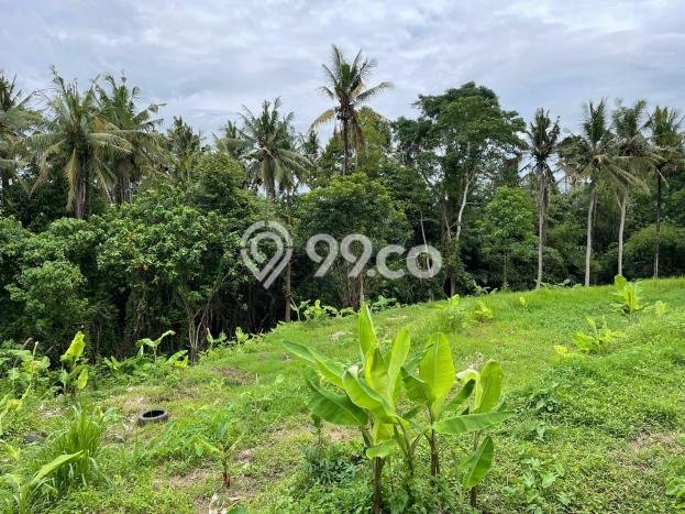 Dijual Tanah Lokasi Singapadu, Gianyar Seluas 710m2 Dijual Tanah Lokasi Singapadu, Gianyar Seluas 710m2