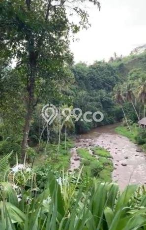 Tanah di Ubud, Gianyar Luas 8000m2 Dijual Segera Tanah di Ubud, Gianyar Luas 8000m2 Dijual Segera