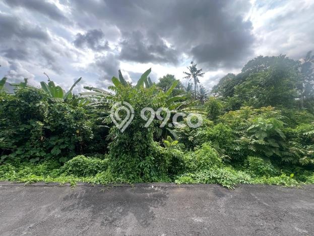 Dijual Tanah Lokasi Singapadu, Gianyar Seluas 710m2 Dijual Tanah Lokasi Singapadu, Gianyar Seluas 710m2