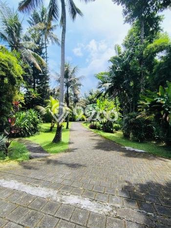 Peluang Terbaik! Vila di Tabanan, Ukuran 5420m2m², Kawasan Berkembang dengan nilai naik Peluang Terbaik! Vila di Tabanan, Ukuran 5420m2m², Kawasan Berkembang dengan nilai naik