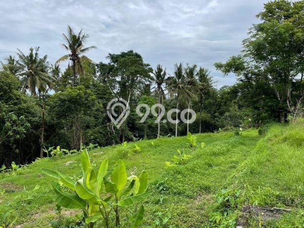 Dijual Tanah Lokasi Singapadu, Gianyar Seluas 710m2 Dijual Tanah Lokasi Singapadu, Gianyar Seluas 710m2
