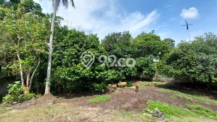 Tanah Lokasi Strategis Kawasan Kediri, Luas 1750m², Kawasan Asri, Dekat Kediri, Tabanan, Tabanan Tanah Lokasi Strategis Kawasan Kediri, Luas 1750m², Kawasan Asri, Dekat Kediri, Tabanan, Tabanan