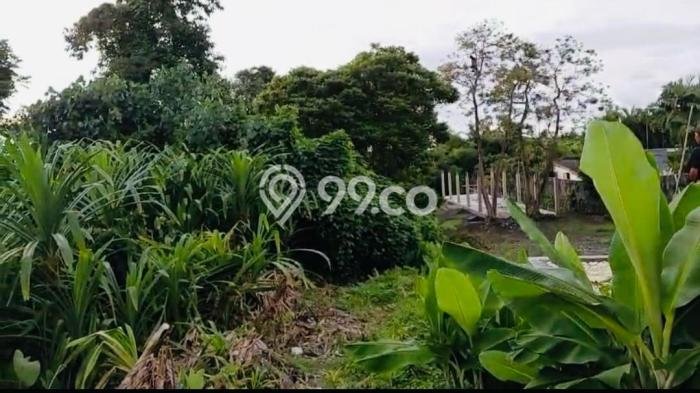 Tanah Investasi Dijual di Badung Punya Luas 1500m2 Tanah Investasi Dijual di Badung Punya Luas 1500m2