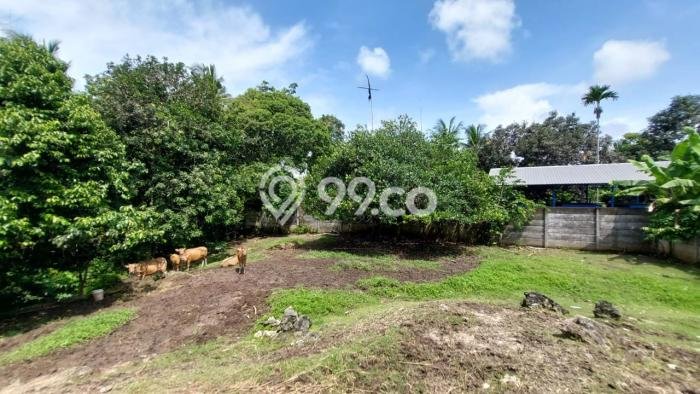 Tanah Lokasi Strategis Kawasan Kediri, Luas 1750m², Kawasan Asri, Dekat Kediri, Tabanan, Tabanan Tanah Lokasi Strategis Kawasan Kediri, Luas 1750m², Kawasan Asri, Dekat Kediri, Tabanan, Tabanan