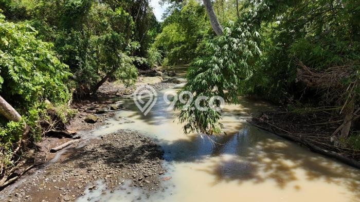 Tanah Kavling Dijual di Tabanan dengan Spesifikasi 260m2 Tanah Kavling Dijual di Tabanan dengan Spesifikasi 260m2