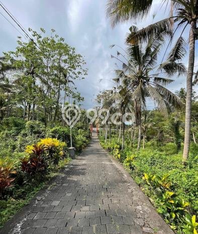 Peluang Terbaik! Vila di Tabanan, Ukuran 5420m2m², Kawasan Berkembang dengan nilai naik Peluang Terbaik! Vila di Tabanan, Ukuran 5420m2m², Kawasan Berkembang dengan nilai naik