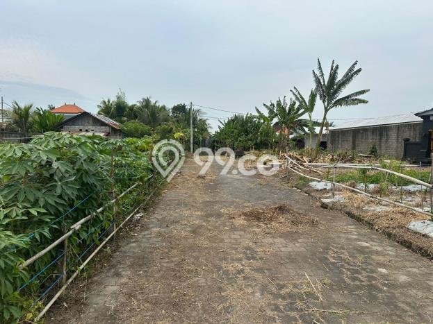 Tanah Dijual Area Strategis di Kedungu Tabanan 210m2 Tanah Dijual Area Strategis di Kedungu Tabanan 210m2