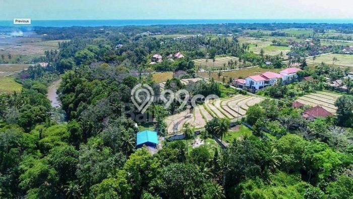 Tanah Lokasi Strategis Kawasan Kediri, Luas 1750m², Kawasan Asri, Dekat Kediri, Tabanan, Tabanan Tanah Lokasi Strategis Kawasan Kediri, Luas 1750m², Kawasan Asri, Dekat Kediri, Tabanan, Tabanan