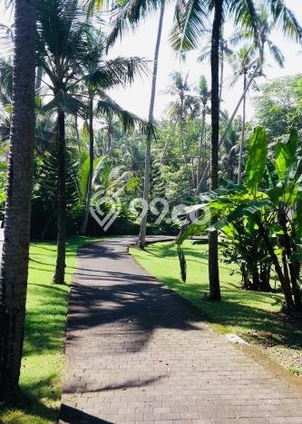 Peluang Terbaik! Vila di Tabanan, Ukuran 5420m2m², Kawasan Berkembang dengan nilai naik Peluang Terbaik! Vila di Tabanan, Ukuran 5420m2m², Kawasan Berkembang dengan nilai naik