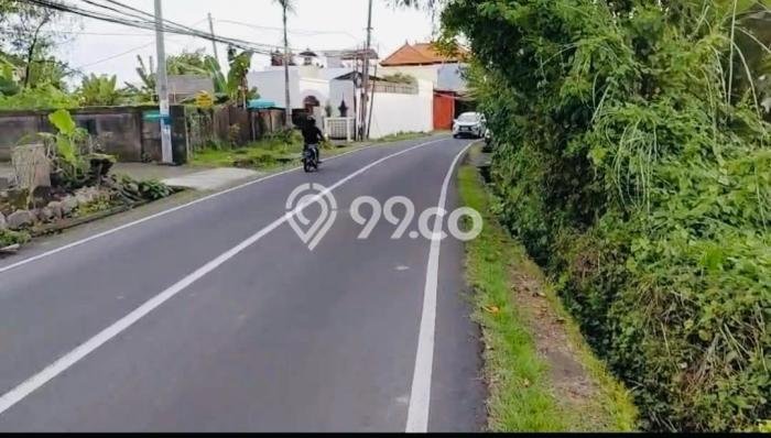 Tanah Investasi Dijual di Badung Punya Luas 1500m2 Tanah Investasi Dijual di Badung Punya Luas 1500m2