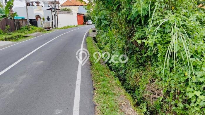 Tanah Investasi Dijual di Badung Punya Luas 1500m2 Tanah Investasi Dijual di Badung Punya Luas 1500m2