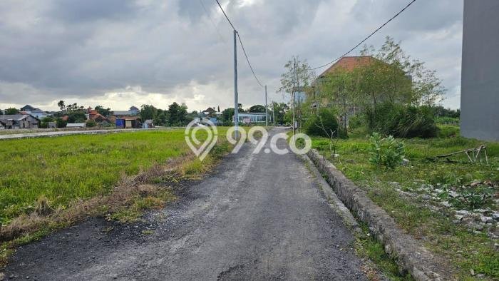 Tanah Disewa di Kerobokan Strategis dan Memiliki Luas 2000m2 Tanah Disewa di Kerobokan Strategis dan Memiliki Luas 2000m2
