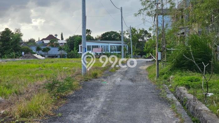 Tanah Disewa di Kerobokan Strategis dan Memiliki Luas 2000m2 Tanah Disewa di Kerobokan Strategis dan Memiliki Luas 2000m2