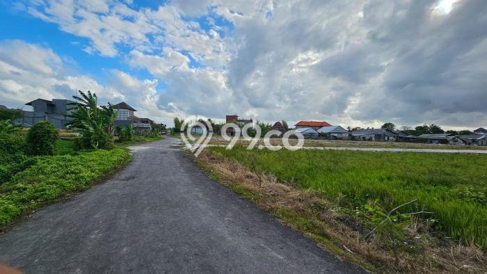 Tanah Disewa di Kerobokan Strategis dan Memiliki Luas 2000m2 Tanah Disewa di Kerobokan Strategis dan Memiliki Luas 2000m2